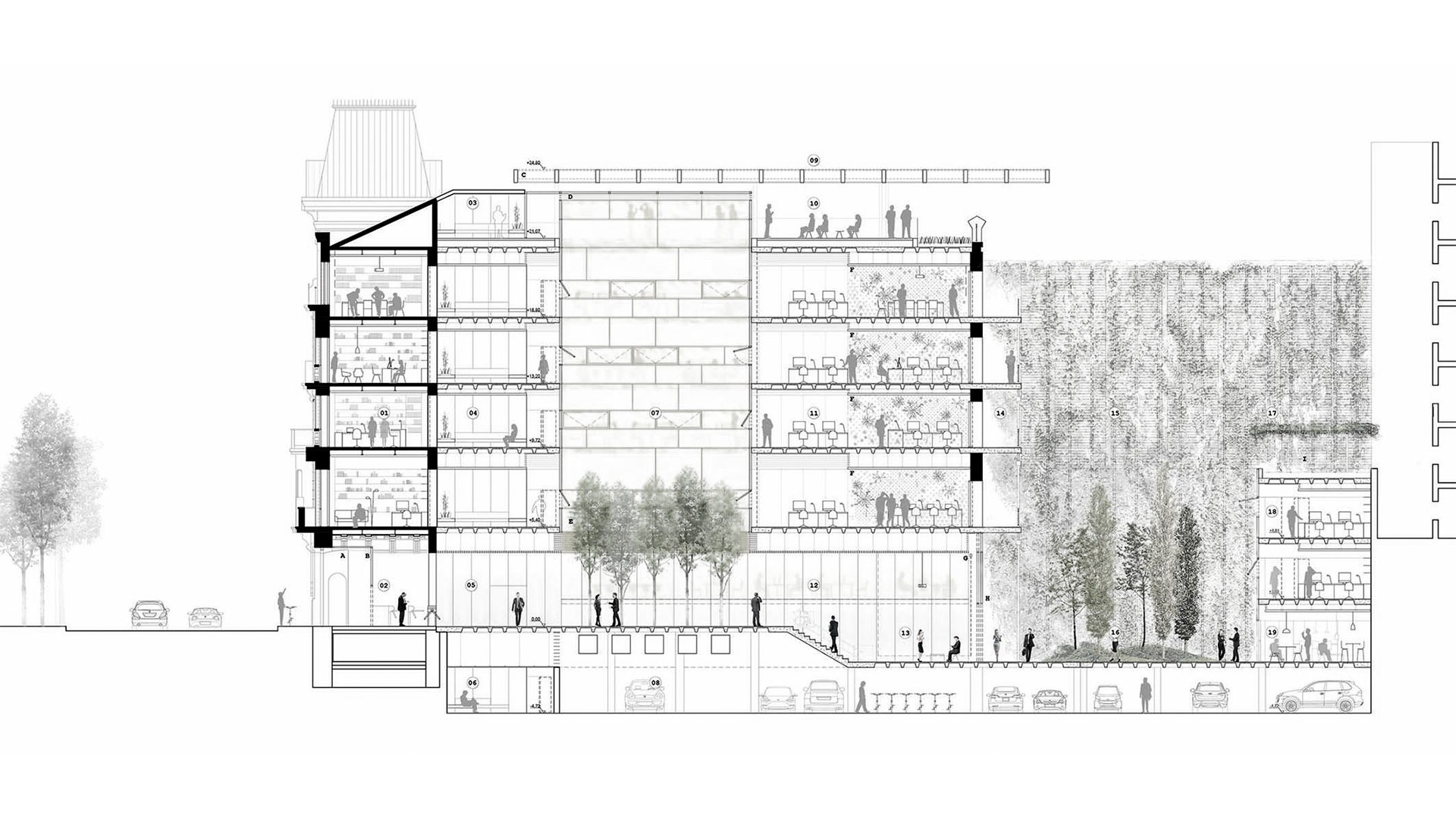 arquitectura-dibujo-sección-longitudinal-rehabilitación-historico-oficinas-passivhaus-lled-ais-paseo-castellana-19-madrid-sostenibilidad-01