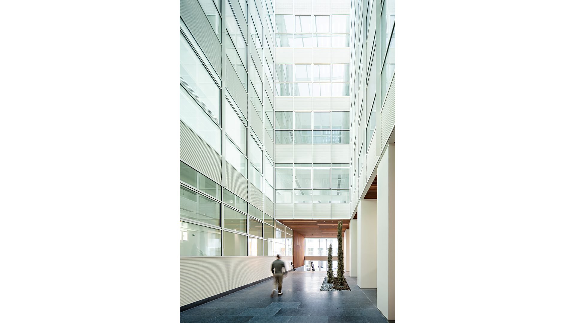 arquitectura-interior-rehabilitación-historico-muro-cortina-oficinas-passivhaus-lled-ais-paseo-castellana-19-madrid-sostenibilidad-03